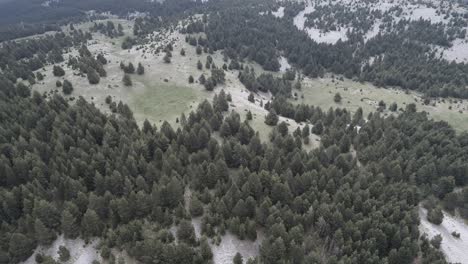 Luftaufnahme-Von-Einem-Pyrenäenwald-Und--berg