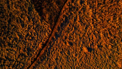 Orange-color-wetlands-looking-like-Mars-terrain,-aerial-top-down-shot
