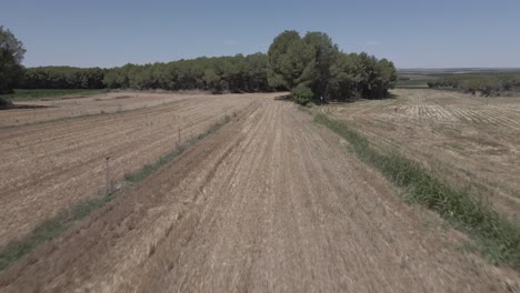 flying-over-reap-oats-fields