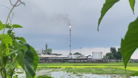 Kailashtilla-gas-flare-burning-natural-gas-from-oil-extraction,-pull-focus-stack