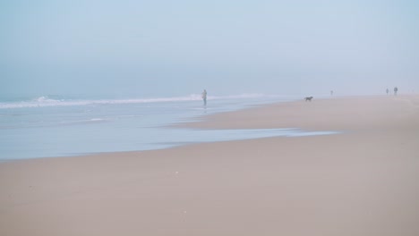 A-peaceful-misty-beach-scene-with-people-and-a-dog-running-away-from-the-sea