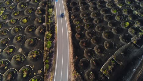 Vehicle-driving-near-majestic-crater-wine-farm-in-Lanzarote-island-on-asphalt-road,-aerial-view