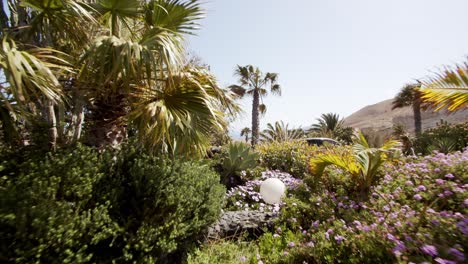 Vibrant-park-with-exotic-tropical-plants-in-Canary-islands,-dolly-forward-view