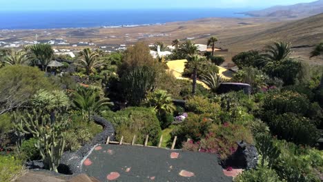 Majestuoso-Parque-Vibrante-Con-Plantas-Exóticas-En-La-Isla-De-Lanzarote,-Vista-Aérea-De-Drones