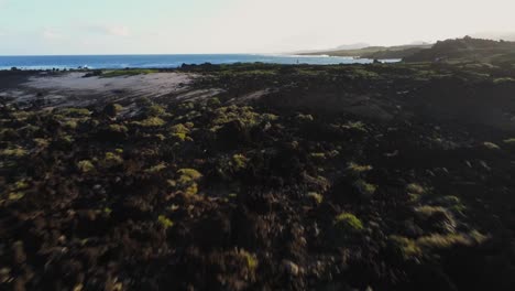 Harsh-rocky-coastal-terrain-of-Lanzarote-island,-low-altitude-aerial-drone-view