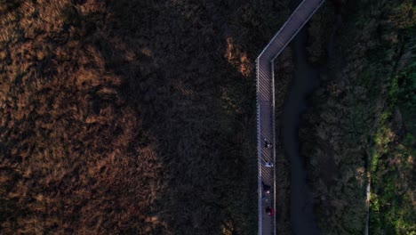Drone-view-of-walking-pathway-surrounded-by-nature-sunset-promenade