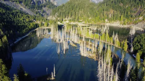 Drone-shot-descending-on-a-dolly-towards-dead-trees-in-a-lake