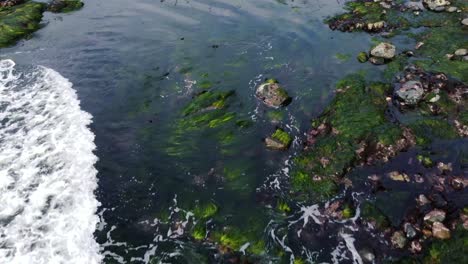 Intertidal-zone-drone-flyover-dolly-shot---Taken-at-Sombrio-Beach-on-Vancouver-Island,-BC