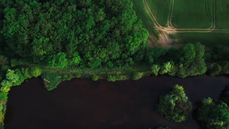 Small-water-pond-surrounded-by-dense-forest-and-agriculture-field,-aerial-view
