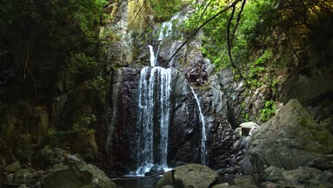 Filmische-Ansicht-Des-Wasserfallstroms-In-Der-Höhle-Und-Des-üppigen-Waldes,-Statische-Ansicht