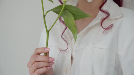 Close-up-tilt-up-shot-of-woman-in-white-shirt-holding-and-smelling-white-lilies