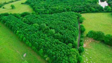 Areal-drone-footage-of-a-green-french-landscape-from-above