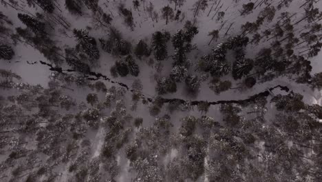Drone-flying-over-snowy-trees-and-river