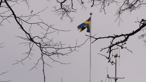 Zeitlupenclip-Einer-Wehenden-Schwedischen-Flagge