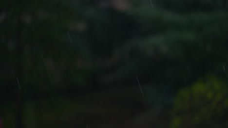 Regentropfen-In-Der-Natur-Unscharf-Hintergrund,-Geringe-Schärfentiefe