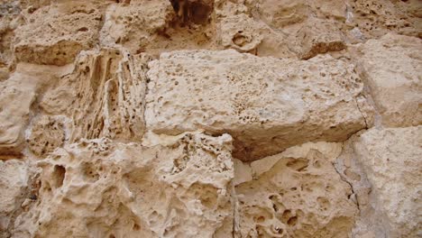Antique-remains-of-limestone-wall-in-city-of-Salamis,-close-up-view