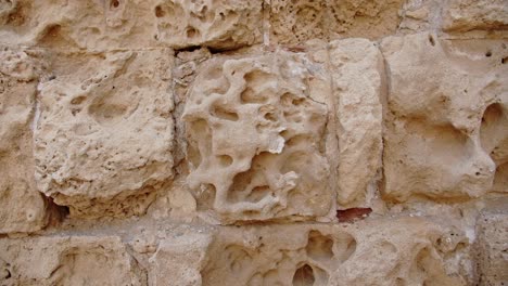 Time-touched-details-of-limestone-wall-in-city-of-Salamis,-close-up-view