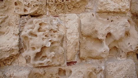 Antiguo-Muro-De-Piedra-Del-Edificio-Restante-En-La-Ciudad-De-Salamis,-Chipre