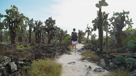 Junge-Rucksacktouristin,-Die-Auf-Dem-Von-Kakteen-Umgebenen-Weg-Auf-Der-Insel-Santa-Cruz-Auf-Den-Galapagos-Inseln-Spazieren-Geht
