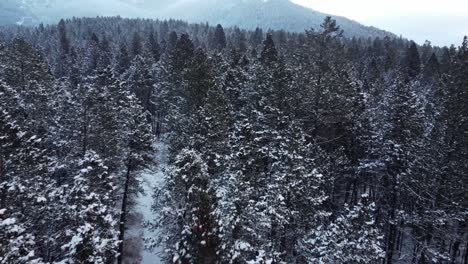 Aerial-shot-of-the-snowfall-in-the-winter-forest-surrounded-by-mountains