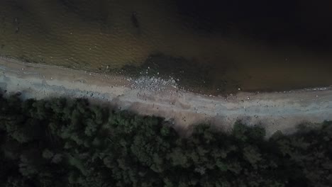 Toma-De-Drone-De-La-Costa-Del-Mar-Báltico
