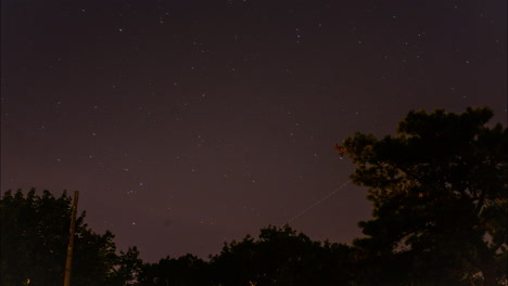 Timelapse-of-a-beautiful-starry-night-sky-spinning-over-time-behind-silhouetted-tree-branches