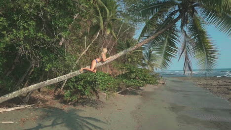 A-blonde-woman-climbing-a-unique-horizontal-palm-tree-on-the-beaches-of-Punta-Banco,-Costa-Rica