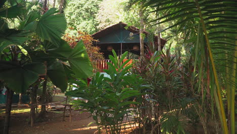 Walking-through-the-jungle-foliage-to-a-small-village-in-Punta-Banco,-Costa-Rica