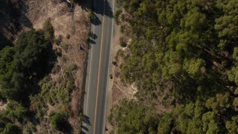 Following-back-road-through-the-Berkeley-hills-aerial-shot-looking-down,-Northern-California