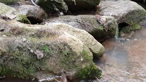 Slow-motion-footage-of-Small-waterfall-from-a-mountain-spring-stream-running-down-huge-sandstone-slabs-of-rock-with-moss,-crystal-clear-drinking-water,-meditate-tranquil-and-peaceful