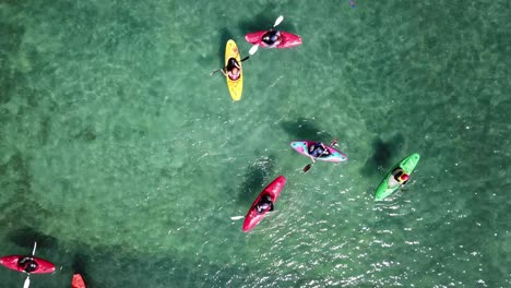 Tiro-De-Drone,-ángulo-De-Arriba-Hacia-Abajo-De-Un-Grupo-De-Kayaks-En-El-Agua,-Auckland,-Nueva-Zelanda