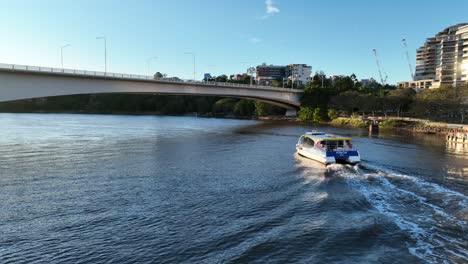 Drone-shot-tracking-City-Cat-Boat-on-Brisbane-River-as-we-pass-underneath-M3-Expressway-bridge,-with-Kangaroo-Point-Cliffs-and-Brisbane-CBD-in-background