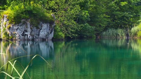 Pequeño-Lago-Tranquilo-En-El-Parque-Nacional-De-Los-Lagos-De-Plitvice---Croacia