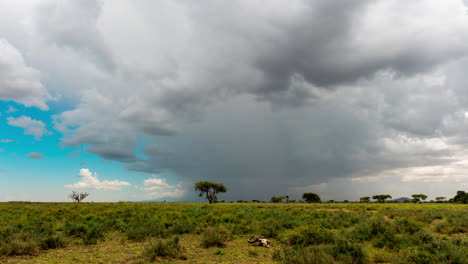 Timelapse-of-Serengeti-landscape-with-a-Wildebeest-scull-in-front