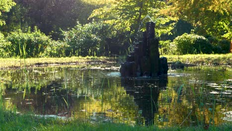 Small-pond-in-a-recreational-park