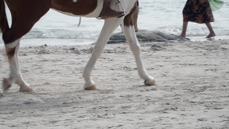 Legs-of-a-white-and-brown-adult-horse-walking-on-a-white-sand-beach-in-the-summer-and-man-riding-it