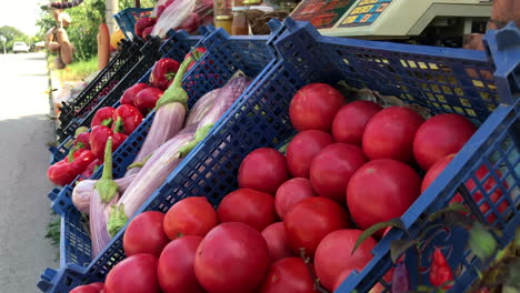 Verkauf-Von-Bio-Gemüse-Und-Obst-Auf-Einem-Straßenmarkt-Im-Sommer
