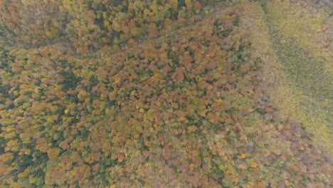 Aerial-footage,-woods-of-the-Balkan-Peninsula-during-the-autumn-period