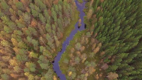 Aerial-footage-of-a-river-and-forest-in-boreal-area