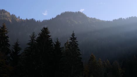 Wunderschöne-Berglandschaft-Mit-Sonne,-Die-Durch-Die-Baumkronen-Scheint