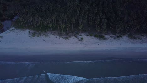 Luftaufnahme-Des-Leeren-Strandes-Mit-Palmen-Und-Ruhigen-Wellen-In-Der-Dämmerung-Am-Langen-Strand,-Palawan,-Die-Philippinen-Kamerasockel-Nach-Oben-Kippen-Und-Rückwärts-Verfolgen