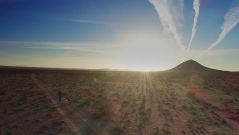 Hombre-Y-Perro-Caminando-Por-El-Desierto-De-Mojave-Al-Amanecer