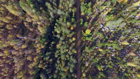 Drone-Ascendiendo-Por-Encima-De-Un-Camino-Estrecho-En-El-Bosque-Boreal
