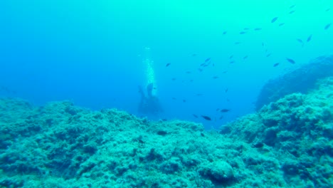 Following-a-diver-into-the-abyss,-surrounded-by-small-fishes