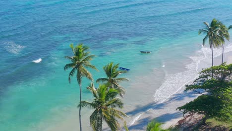 Three-fishing-boats-ready-to-go-fishing,-in-an-aerial-shot-behind-the-coconut-trees,-waves-on-the-beach-turuesa-azul-water,-sunny-day