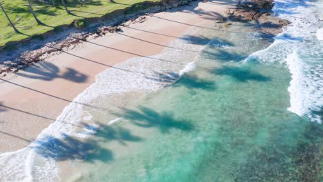 Toma-Un-área-Con-Drones-En-Una-Hermosa-Playa-En-El-Caribe,-Con-Vista-A-Las-Vibrantes-Aguas-Azul-Turquesa,-Los-Restos-De-Cocoteros-En-El-Agua-Dan-Belleza-A-Un-Paraíso-Tropical