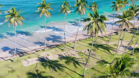 Toma-Escénica-En-Una-Hermosa-Playa-En-La-República-Dominicana,-El-Hermoso-Sol-Los-Restos-De-Los-Cocoteros,-Olas-De-Agua-Azul-Turquesa-Que-Van-Y-Vienen