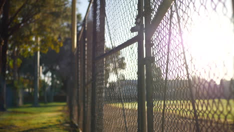 Rising-up-along-a-chain-link-fence-gate-with-locks-on-it-at-sunrise-outside-of-a-grass-baseball-field-in-a-public-park