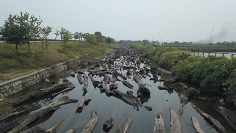Numerous-wood-logs-submerged-in-a-water-channel