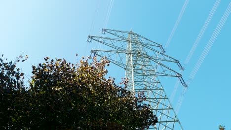 Electricity-pylon-in-nature